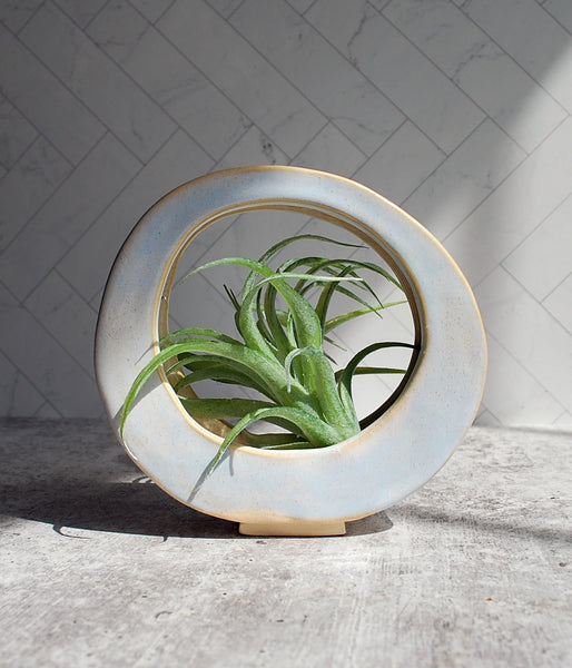 Air Plant Holder - Blue Standing Piece