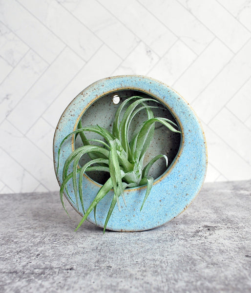 Air Plant Holder - Blue Wall Hanging