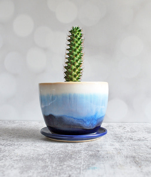 White Blue Planter - Large