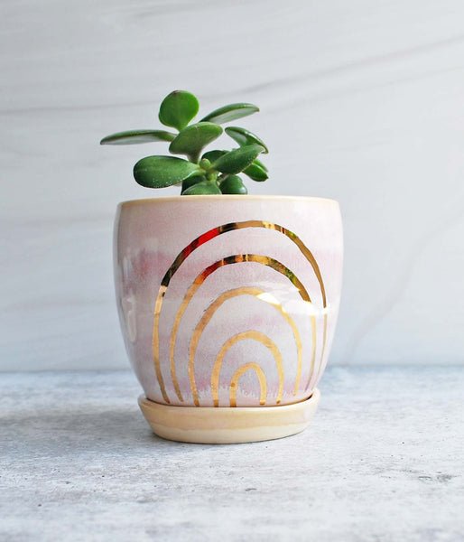 Ceramic planter in pink glaze with a gold rainbow design. There is a green jade plant in the planter. 