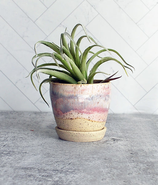 Speckle Planter - Pink and Purple