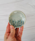 Tree Ring Dish