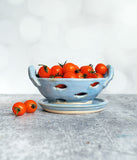 Berry Bowl - Light Blue Fish Design
