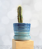 Blue Water Planter - Small