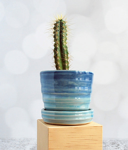 Blue Water Planter - Small