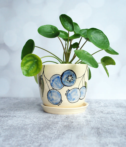 Blueberry Planter with Saucer