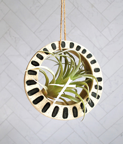 Air Plant Holder - Cream and Black