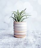 Cream Planter with Saucer - Small