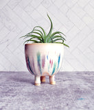 Colorful Planter