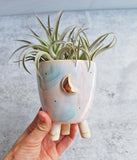 Mini Planter in pastel colors with gold moon design. Planter has three feed. Planted with air plants.