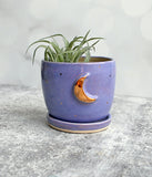 Purple and Gold Moon Planter - Medium with saucer