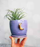 Purple and Gold Moon Planter - Medium with saucer