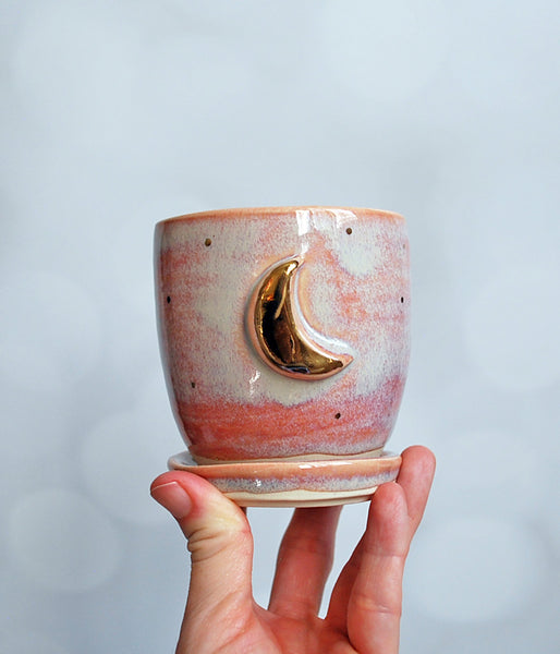 Pink Moon Planter