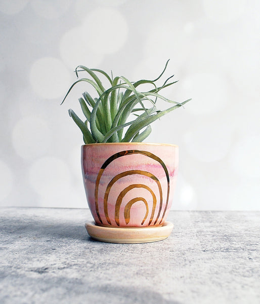 Pink Rainbow Planter - Small with Saucer