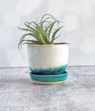 White and Green Planter - Medium
