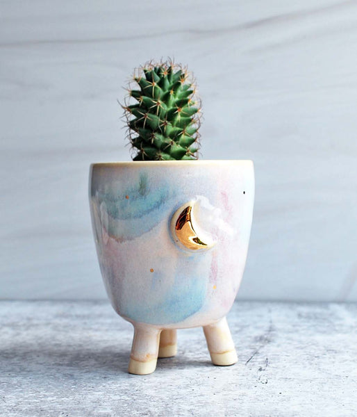 Mini Planter in pastel colors with gold moon design. Planter has three feed. Planted with a cactus.