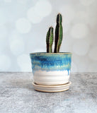 White and Blue Planter - Medium