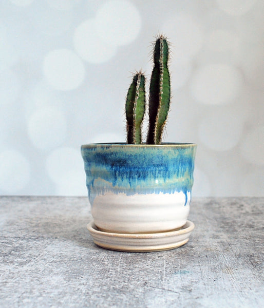 White and Blue Planter - Medium