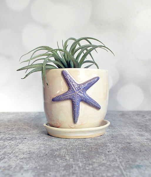 Blue Planter - Purple Starfish