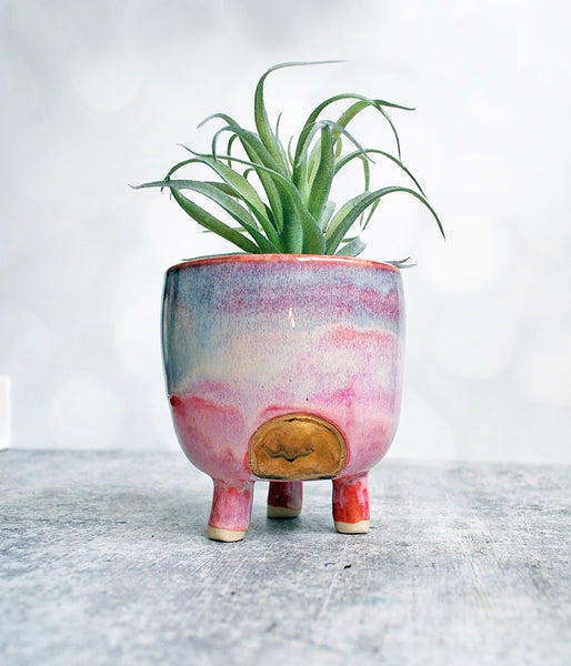 Sunset Planter - Medium