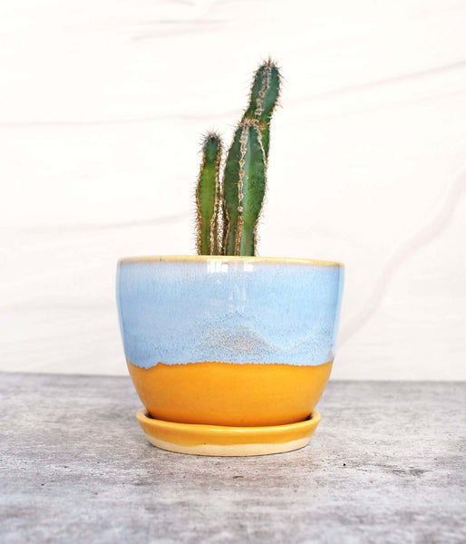 Yellow and Blue Planter with Saucer