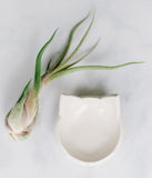 White Cat Shaped Dish