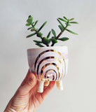 Pink and Gold Rainbow Planter - Small