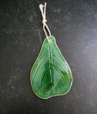 Green Fiddle Leaf Fig Wall Hanging