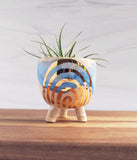 Ceramic planter, with white and blue striped glazes, and gold rainbow design. Planter is filled with air plants. 