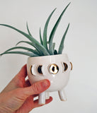 White Moon Phase Mini Planter - Air Plant Succulent PlantersA beautiful moon lovers planter! This little handmade ceramic planter has three feet. Glazed in glossy white, with 22k gold accents. Perfect for a tiny succulent or 