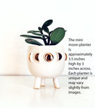 White Moon Phase Mini Planter - Air Plant Succulent PlantersA beautiful moon lovers planter! This little handmade ceramic planter has three feet. Glazed in glossy white, with 22k gold accents. Perfect for a tiny succulent or 