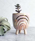 Pink and Gold Rainbow Planter - Small