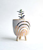 Pink and Gold Rainbow Planter - Small