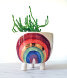 Rainbow Planter - Medium with tripod legs